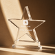 star shaped acrylic trophy 2pcs